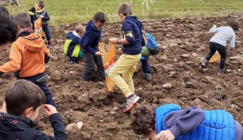 "Festa della patata fai da te" a Rittana