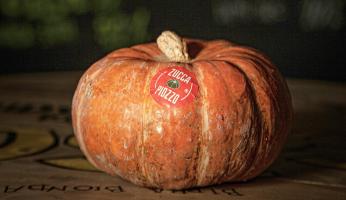 La Zucca Piozzo diventa Presidio Slow Food