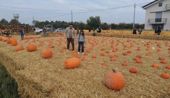 FOTOGALLERY - Fiera della Zucca di Piozzo 2025: Ra curt dër cusse