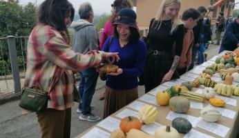 FOTOGALLERY - Fiera della Zucca di Piozzo 2025: la mostra tecnico-scientifica
