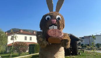 Con la festa del Marrone arriva a Chiusa Pesio il campionato del Mondo dei caldarrostai