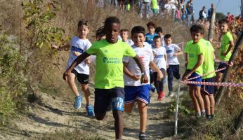 FOTOGALLERY - Cross in Vigna Dogliani 2025