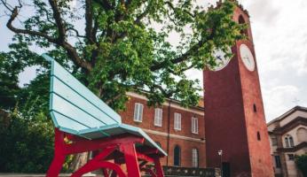 Italia Nostra censisce tre alberi monumentali di Dogliani