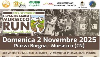 volantino panoramica