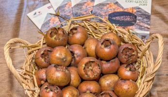 Farigliano, la Fiera dei Puciu vola più in alto: arrivano i rapaci