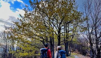 Un nuovo portale per i sentieri di Chiusa Pesio: ecco “A zonzo in valle Pesio”