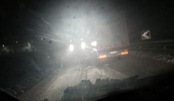 Neve: numerosi interventi per alberi pericolanti nella notte