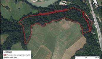 L&rsquo;associazione fondiaria Monregalese sistemer&agrave; l&rsquo;area in localit&agrave; Fornelli a Niella Tanaro