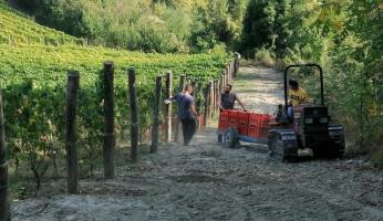 A Dogliani si parla di viticoltura e cambiamenti climatici