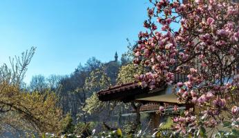 Peveragno apre le porte al cinema e alla TV