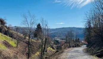 San Michele: tagliate alcune piante pericolanti in via Castello