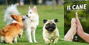 Il cane vive in una sorta di simbiosi con noi
