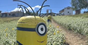 Anche i Minions pronti a festeggiare Ciüsa Duvarta
