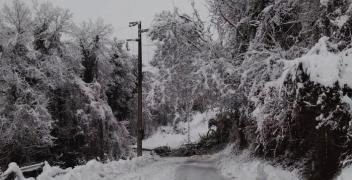 Neve a Mondov&igrave;: albero sui cavi elettrici: chiusa la provinciale tra Carassone e Piazza