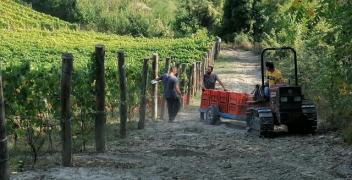 A Dogliani si parla di viticoltura e cambiamenti climatici