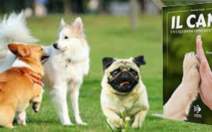 Il cane vive in una sorta di simbiosi con noi