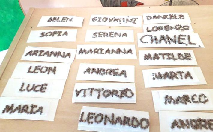 Imparare il ciclo della vota partendo dai semi