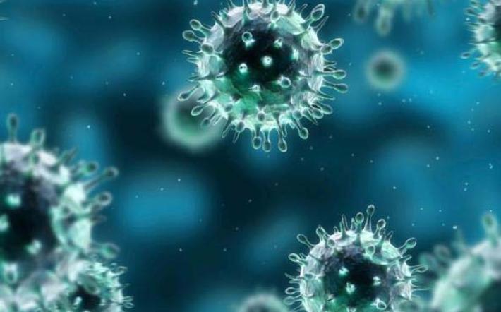 Coronavirus