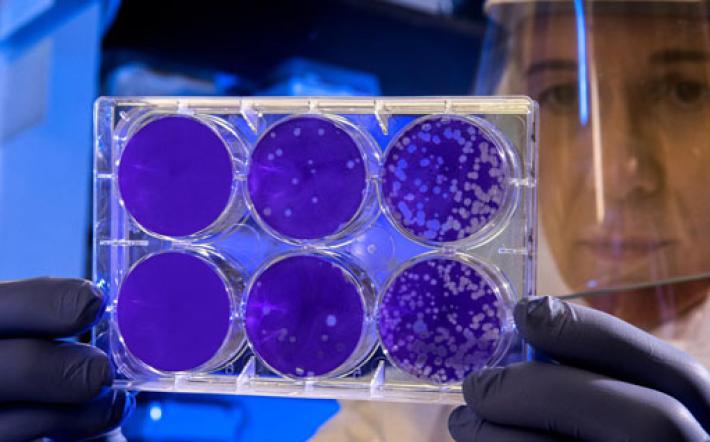 Cronavirus: c'è un unico, vero numero di emergenza