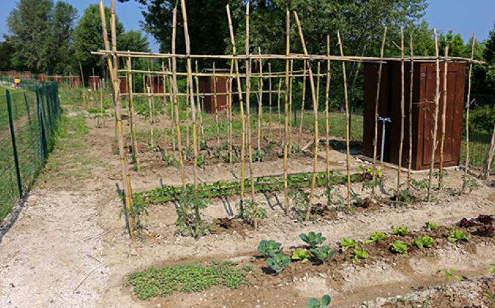 Mondovì: nuova campagna di assegnazione degli Orti Urbani