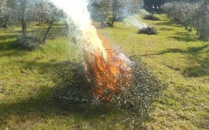 Revocato lo stato di massima pericolosità per gli incendi boschivi