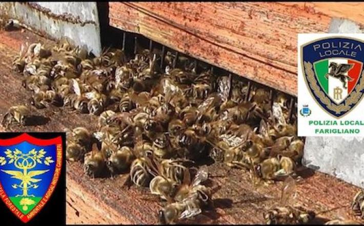 Farigliano: titolare di azienda agricola denunciato per uso illecito di prodotti fitosanitari