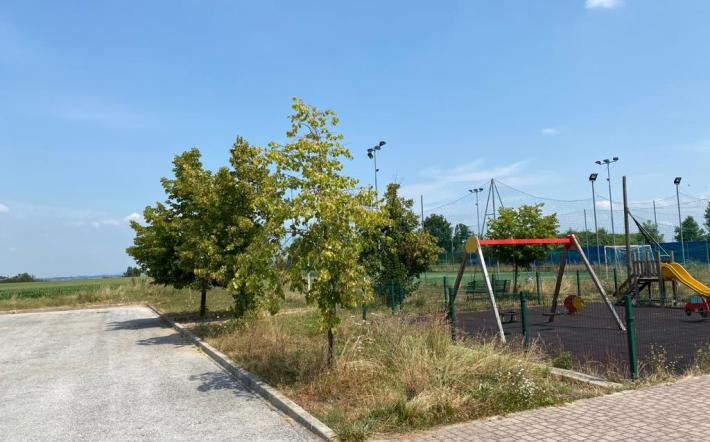 Piscina a Sant’Anna: “Invitiamo il sindaco a non arroccarsi su una soluzione chiaramente illogica”