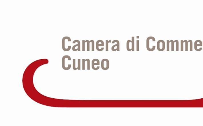 Vino: la Camera di Commercio ridefinisce i criteri di rilevazione dei prezzi delle uve
