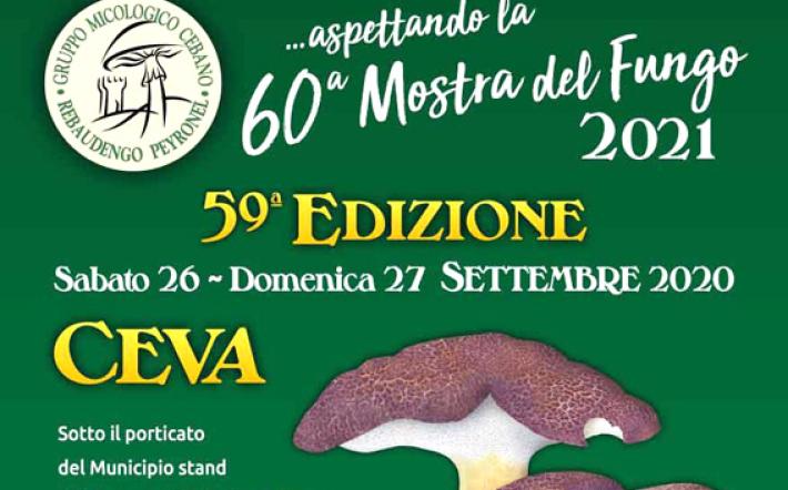 Ceva: la “Settimana del fungo” entra nel vivo 