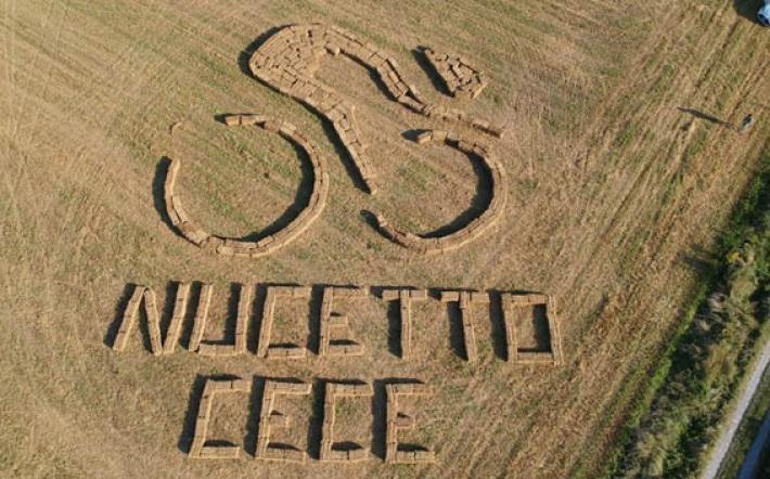 Nucetto: annullata la Festa del Cece 2020