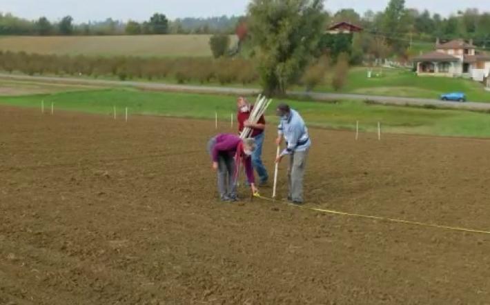 Niella, seminati grani antichi in un campo del paese