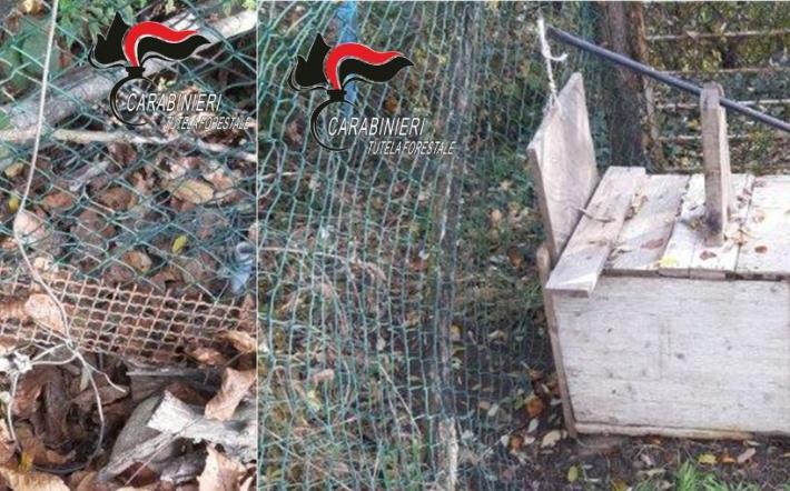 A Bastia trovate trappole per la cattura di animali selvatici: il proprietario segnalato alla Procura