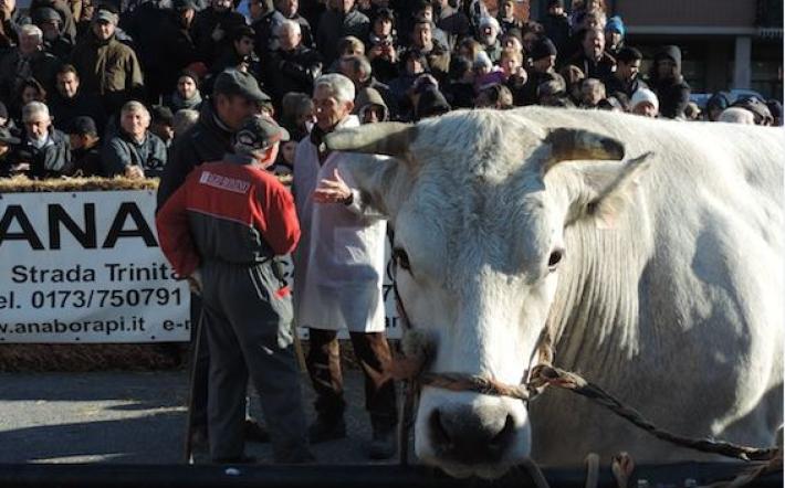 Foto di repertorio