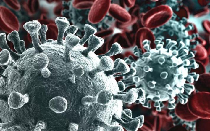 Virus nelle nostre zone: frenano i decessi ma risale l’indice di positività