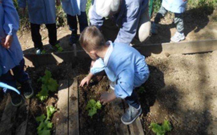 Come cambia la Scuola dell’Infanzia con l’emergenza Covid