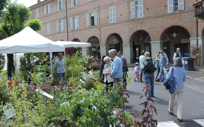 Il Comune di Vicoforte programma gli eventi estivi (covid permettendo)