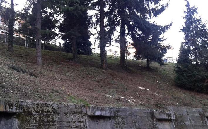 Mondovì: pulizia e messa in sicurezza della scarpata di via Cornice