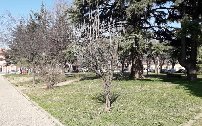 Mondovì, lo Skate Park nascerà nei giardini di fronte alla stazione ferroviaria