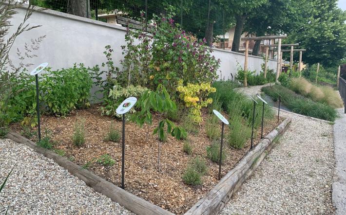 San Michele apre l’aiuola botanica comunale agli alunni delle Scuole