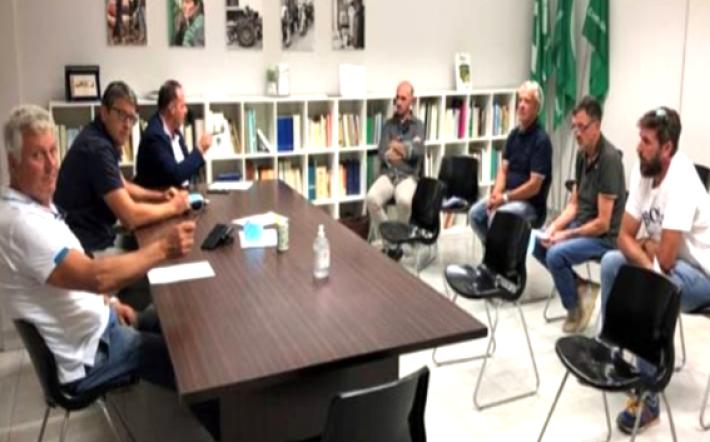 Amici Ambiente Rurali Piemontesi (Coaarp): «Cinghiali sempre più pericolosi, intervengano i prefetti»
