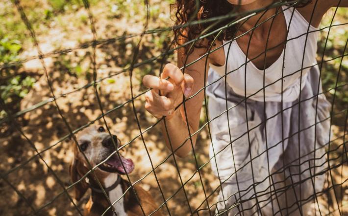 San Michele: al Canile-Rifugio 281 un progetto contro la violenza sulle donne