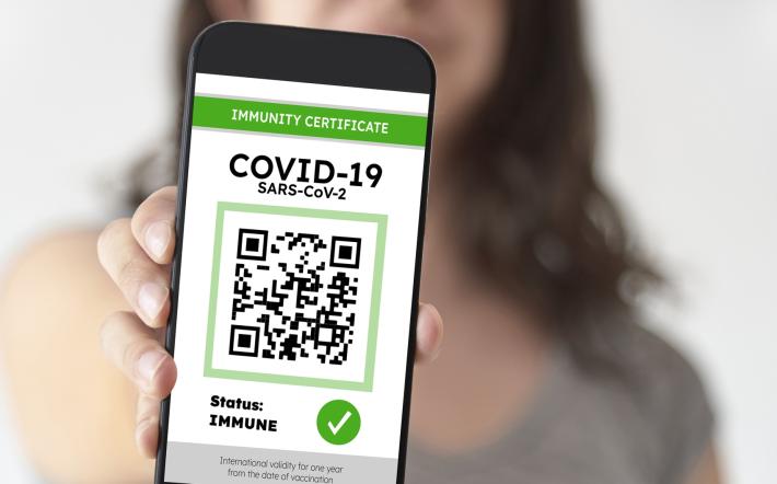 Green Pass: 'esercenti hanno ragione, non sono pubblici ufficiali'. Quesito Piemonte a Garante Privacy