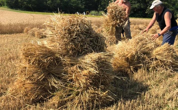 Niella: un agosto pieno di eventi “nel nome del pane”