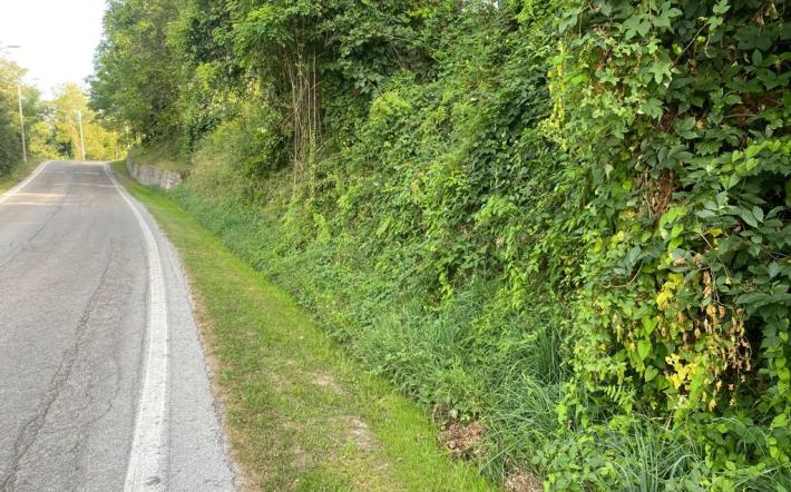 Briaglia: affidato il secondo lotto del camminamento