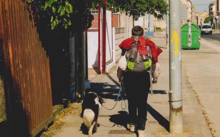 Il Cammino di Santiago con il proprio cane