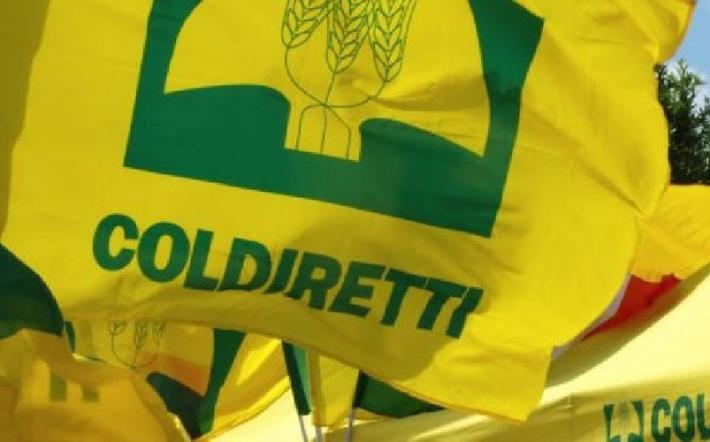 Coldiretti: domenica a Ceva il "grazie" del mondo agricolo cuneese. Giornata provinciale del Ringraziamento alla presenza del vescovo di Mondovì