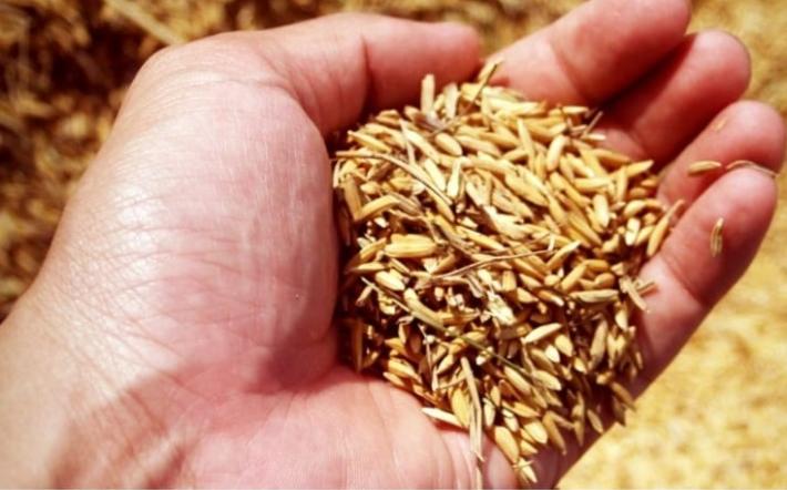Caro materie prime ed energia: "Fare Quadrato" chiede interventi per agricoltori ed allevatori