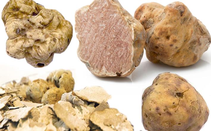 Briaglia: una De.co. per il tartufo bianco pregiato