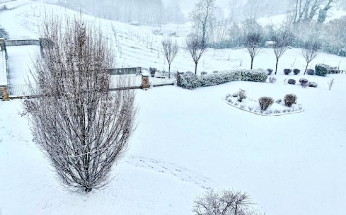 Previsioni rispettate, arrivata la neve, allerta gialla. Fulvio Romano: dopo le precipitazioni ci sarà il gelo