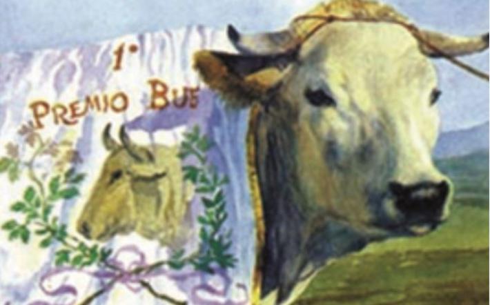 Carrù: Fiera del Bue Grasso tra internazionalità e tradizione
